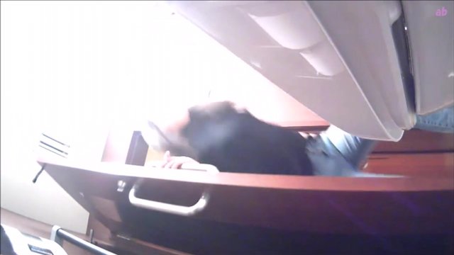 美女如云的餐厅高级坐厕偷拍镜子让美女们前后失守很有撸点-蝌蚪窝|成人|91PORNY|九色